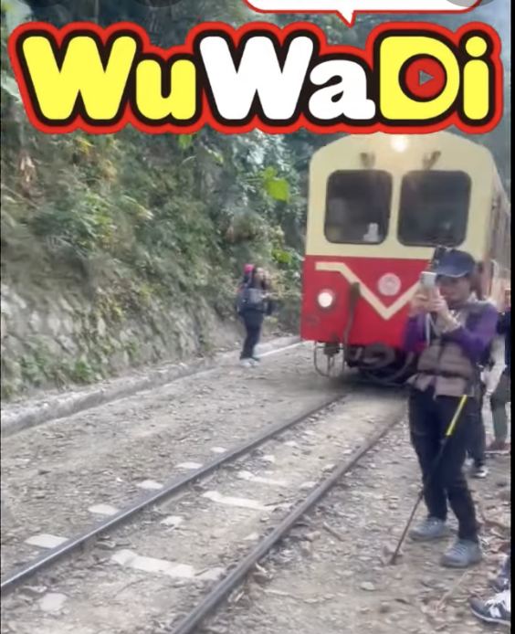 阿里山自拍婦人遭到火車ＫＯ