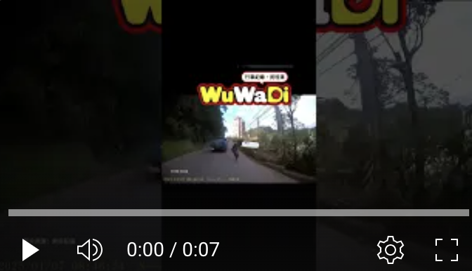 攔路的羊