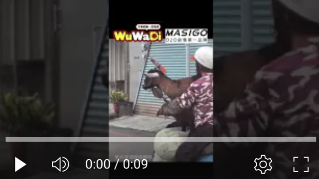 wuwadi,武哇滴 ,協尋 ,行車紀錄器,預防事故,防衛駕駛,行車記錄器 ,路上,行人安全,三寶