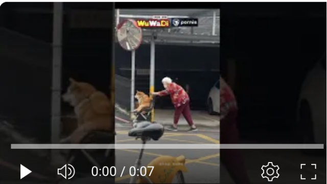 wuwadi,武哇滴 ,協尋 ,行車紀錄器,預防事故,防衛駕駛,行車記錄器 ,路上,行人安全,三寶
