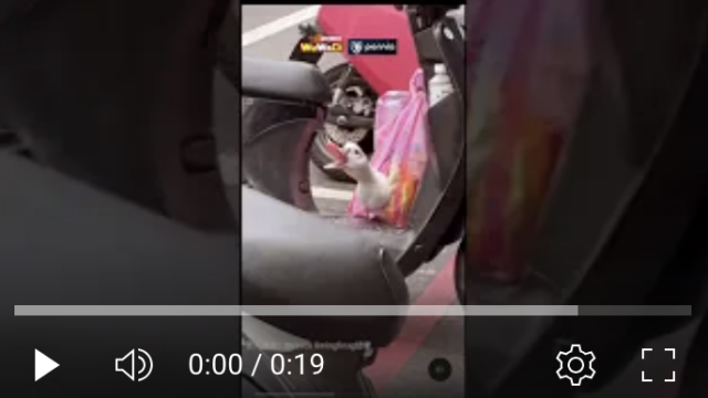 wuwadi,武哇滴 ,協尋 ,行車紀錄器,預防事故,防衛駕駛,行車記錄器 ,路上,行人安全,三寶