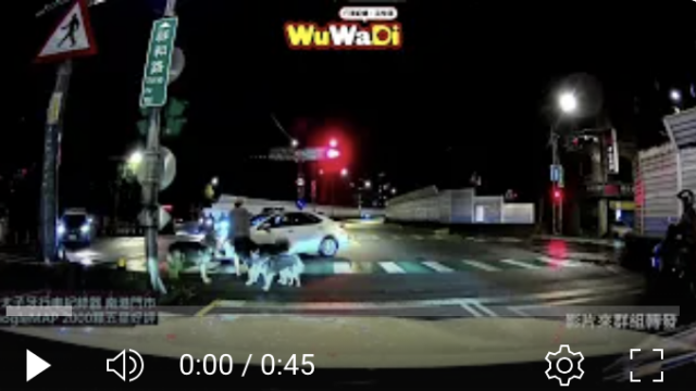 wuwadi,武哇滴 ,協尋 ,行車紀錄器,預防事故,防衛駕駛,行車記錄器 ,路上,行人安全,三寶