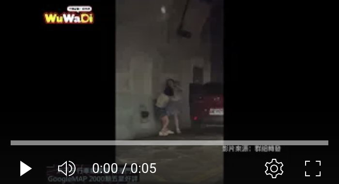 母女在隧道內打架