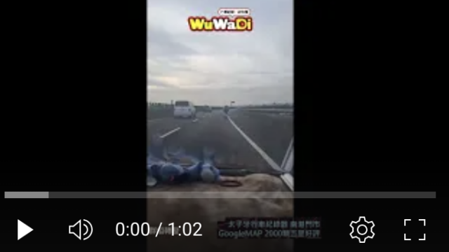 wuwadi,武哇滴 ,協尋 ,行車紀錄器,預防事故,防衛駕駛,行車記錄器 ,路上,行人安全,三寶