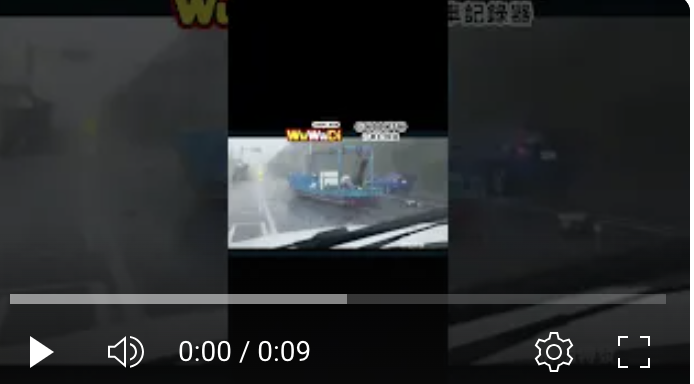 被美人魚推上來的船