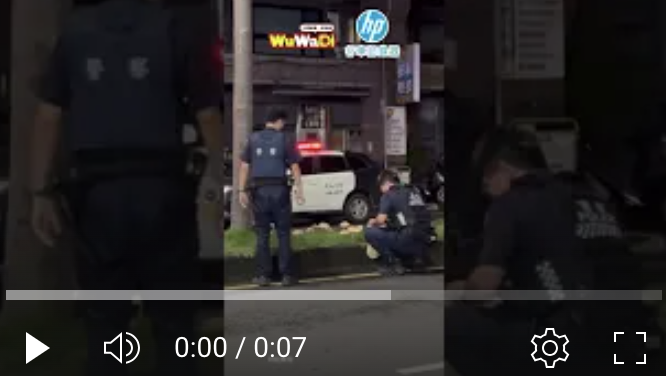 這次菇菇沒有在市場角落這次在分隔島上