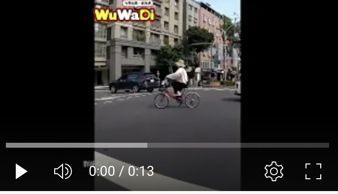 當三寶遇到熟悉的聲音最對味