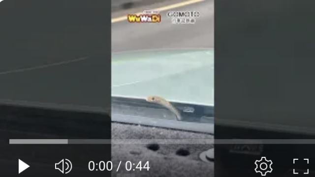 行車記錄器,車禍影片,台灣交通事故,dashcam台灣,驚險行車瞬間,Dashcam,CarCrash