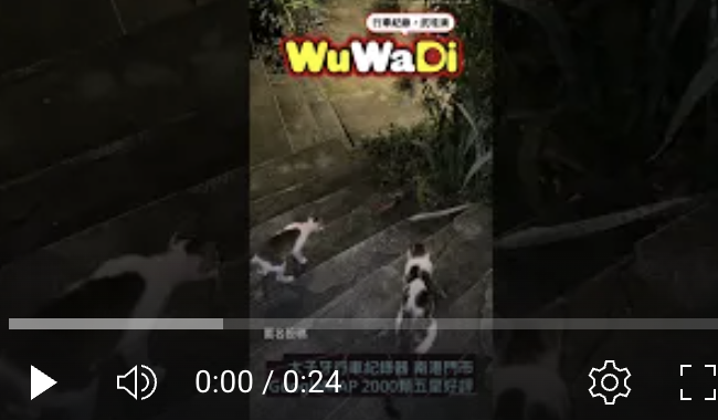蛇表示：我比你們兩個更害怕