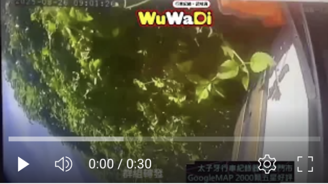 wuwadi,武哇滴 ,協尋 ,行車紀錄器,預防事故,行車記錄上傳中心,行車記錄器 ,路上,行人安全,三寶