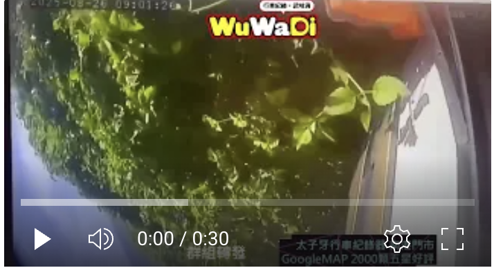 跨越雙黃線釀悲劇！瑞芳蝙蝠洞重大車禍瞬間曝光