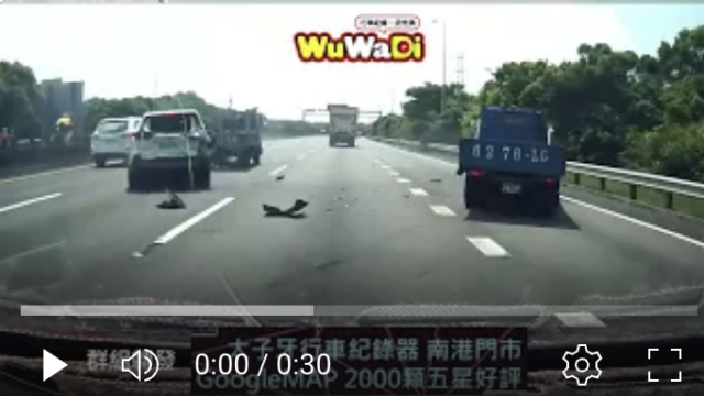 wuwadi,武哇滴 ,協尋 ,行車紀錄器,預防事故,行車記錄上傳中心,行車記錄器 ,路上,行人安全,三寶