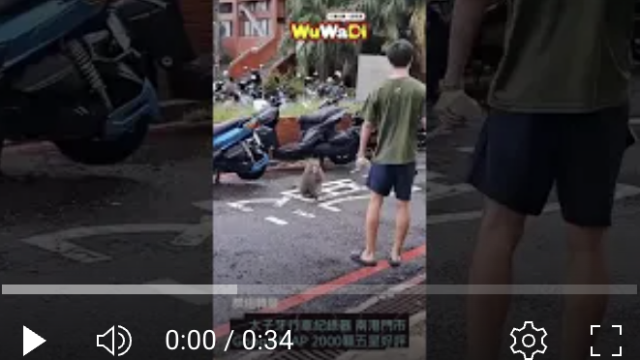 行車紀錄器影片上傳中心,行車影片協尋,行車影片,協尋行車影片,找行車影片,三寶