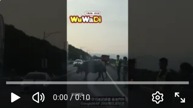 行車記錄器,車禍影片,台灣交通事故,dashcam台灣,驚險行車瞬間,Dashcam,CarCrash