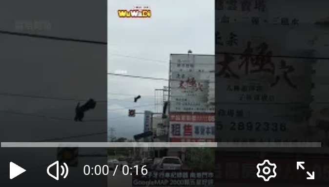 猴子你還不下來齁等等電到