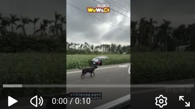 wuwadi,武哇滴 ,協尋 ,行車紀錄器,預防事故,防衛駕駛,行車記錄器 ,路上,行人安全,行車紀錄影片上傳中心,行車影片協尋,行車影片,協尋行車影片,找行車影片,三寶 dashcam, dashcamcommunity, caraccident, accidentfootage, trafficvideo, road, roadcam, traffic, 行車紀錄影片, 行車影片分享, 協尋行車影片, 找行車影片, 目擊影片, 車禍影片, 道路事故影片, 三寶駕駛, 交通事故討論, 防禦性駕駛, 行人安全, 駕駛經驗交流