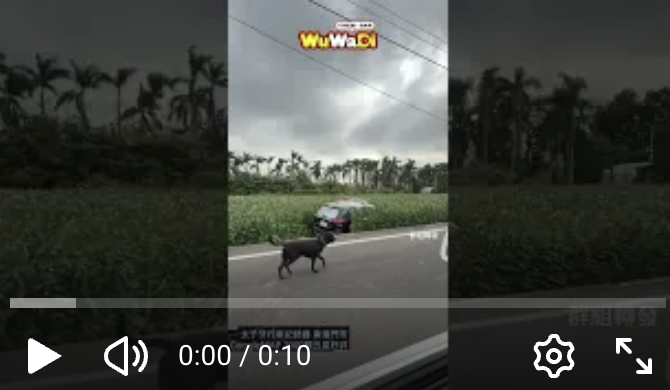 警車不能除草欸