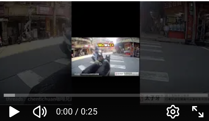 一人兩狗你不要跟我說沒看見欸