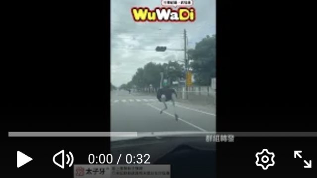 wuwadi,武哇滴 ,協尋 ,行車紀錄器,預防事故,防衛駕駛,行車記錄器 ,路上,行人安全,行車紀錄影片上傳中心,行車影片協尋,行車影片,協尋行車影片,找行車影片,三寶 dashcam, dashcamcommunity, caraccident, accidentfootage, trafficvideo, road, roadcam, traffic, 行車紀錄影片, 行車影片分享, 協尋行車影片, 找行車影片, 目擊影片, 車禍影片, 道路事故影片, 三寶駕駛, 交通事故討論, 防禦性駕駛, 行人安全, 駕駛經驗交流