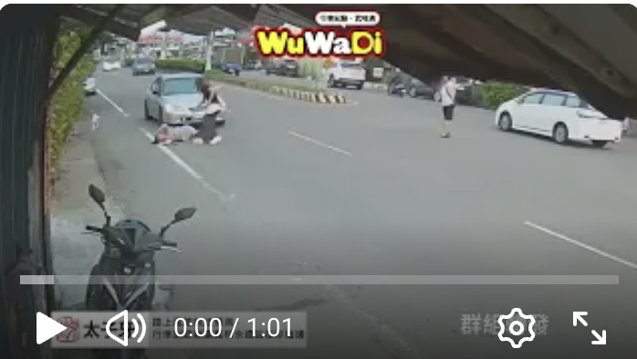 一時疏忽釀意外狗未牽繩追狗闖馬路遭撞