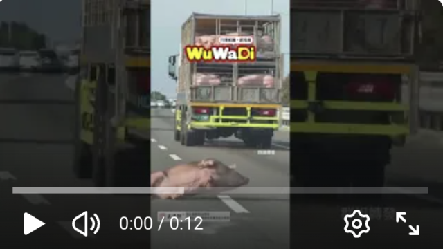 wuwadi,武哇滴 ,協尋 ,行車紀錄器,預防事故,防衛駕駛,行車記錄器 ,路上,行人安全,行車紀錄影片上傳中心,行車影片協尋,行車影片,協尋行車影片,找行車影片,三寶 dashcam, dashcamcommunity, caraccident,