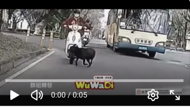 wuwadi,武哇滴 ,協尋 ,行車紀錄器,預防事故,防衛駕駛,行車記錄器 ,路上,行人安全,行車紀錄影片上傳中心,行車影片協尋,行車影片,協尋行車影片,找行車影片,三寶 dashcam, dashcamcommunity, caraccident,