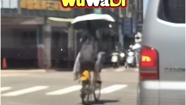 飆腳踏車阿姨餒
