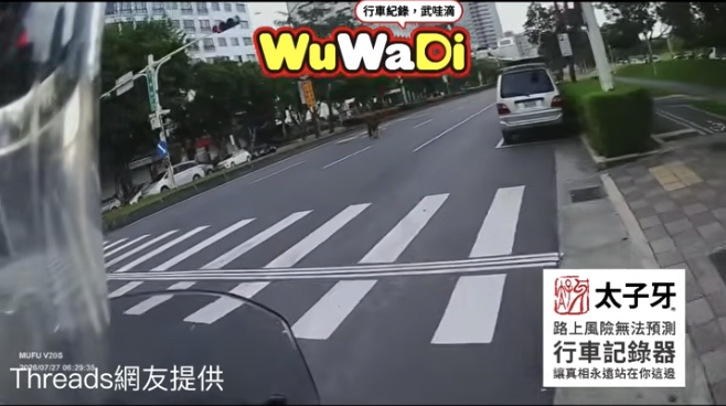 路上有馬很合理吧