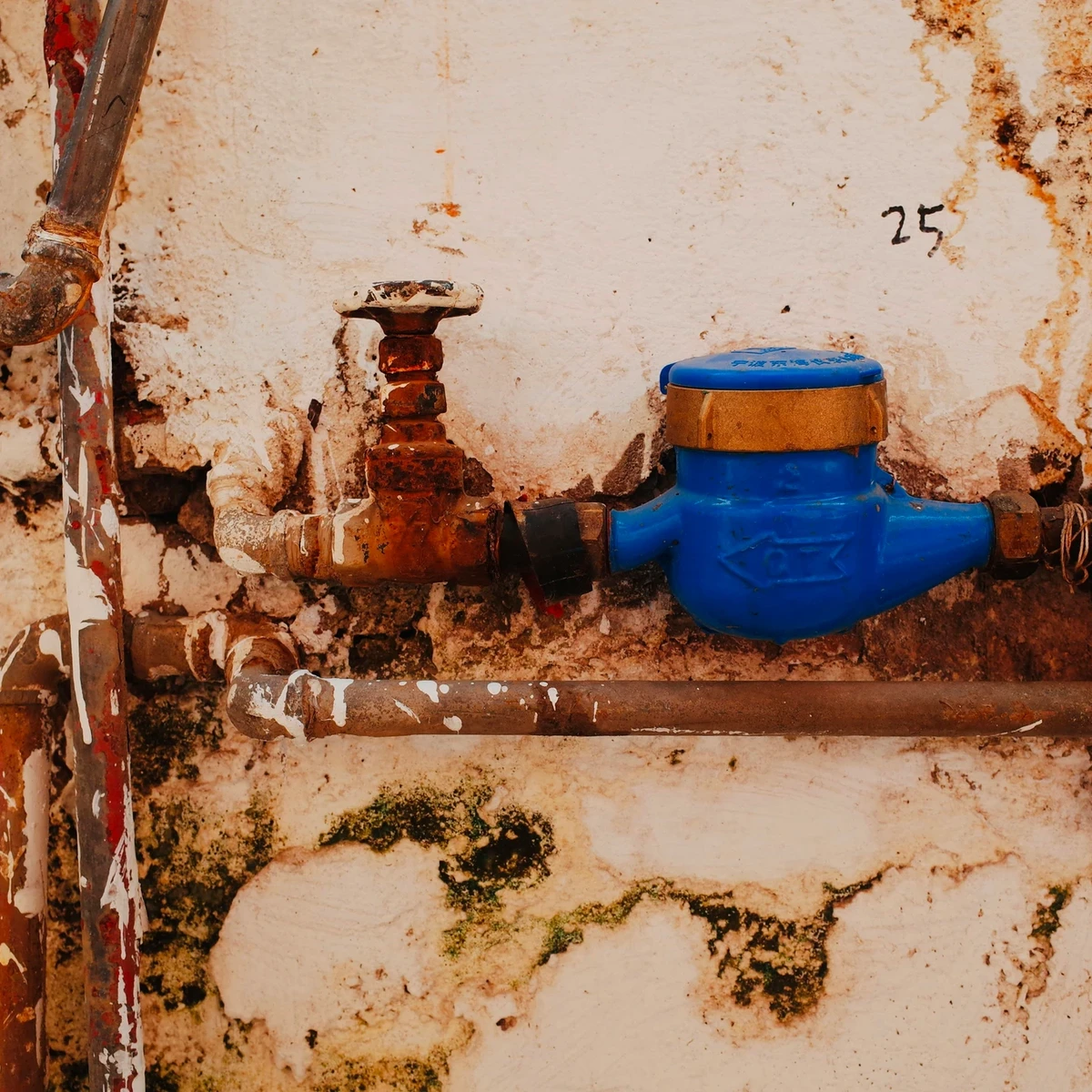 Section image